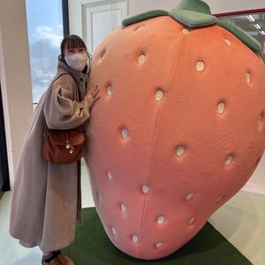 新井芹菜