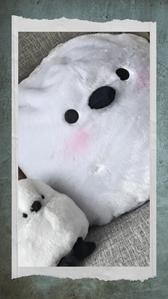 彩