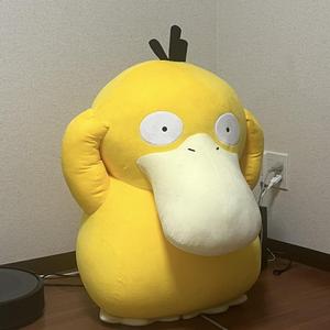 長谷