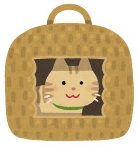 しらたま