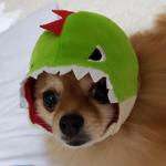 Konishi