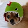 Konishi