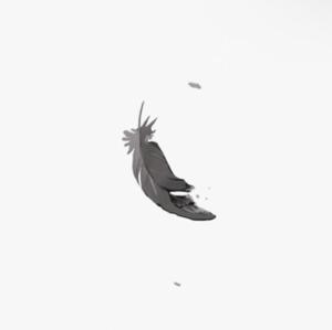 rin__design