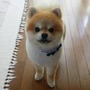 福幸
