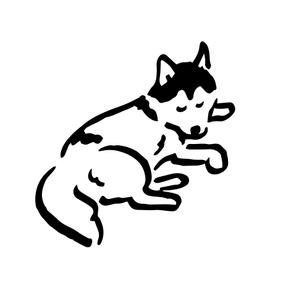 関 あやみ