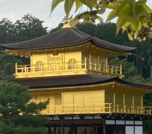 保坂 陽斗