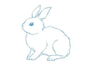 かめたく