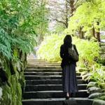 まこも。