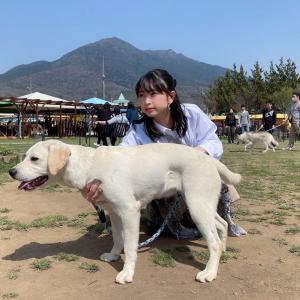 飛田