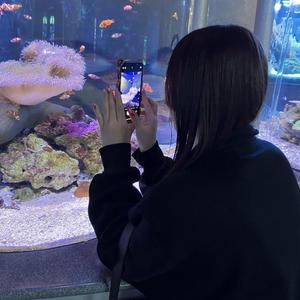 陽 -hina-