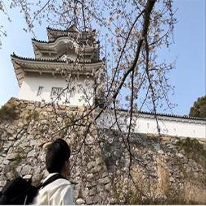 宮井海