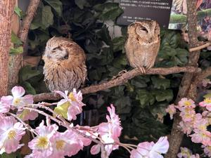 ライター
