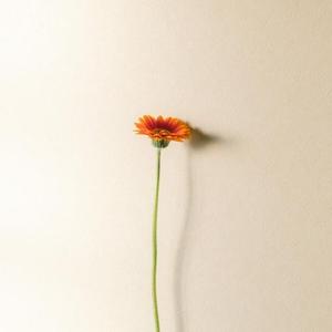 小松 大樹