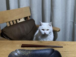 今井葉月