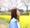 mai_design91