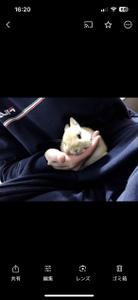 リョウ