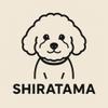 しらたま