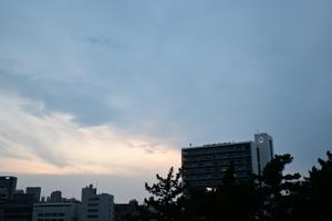 橋本 健之介