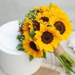 sunflower705