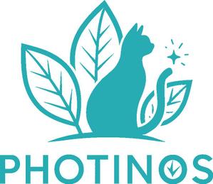 合同会社PHOTINOS