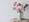 hono_39