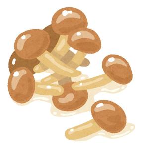 なめこ