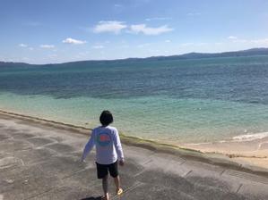 莉菜