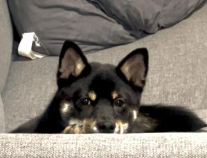 udkun