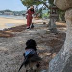 山綱 深咲