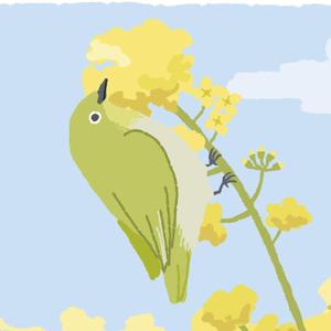 なかお　かなこ