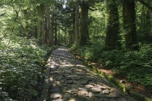 小田 裕喜