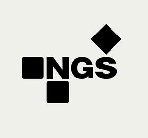 合同会社NGS