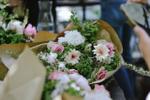 Kinari_m