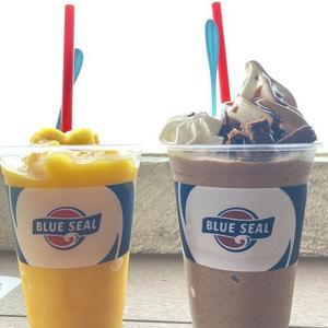 BLUE SEAL