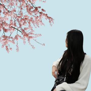 中村 朋香