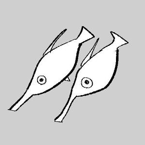 わたらせ