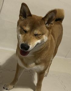 佐藤 莉帆