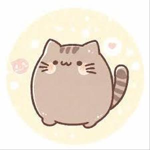 さえねこ【経理×Python×英語】
