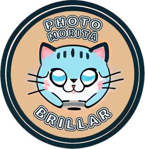写真のモリタ
