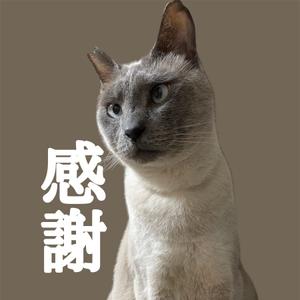 松本 良子