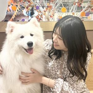 かわきたれな