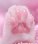 辻ひかり