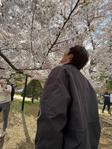 平澤廉