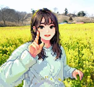 sakamo