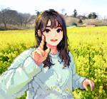 sakamo