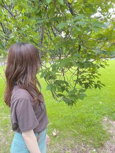 紬麦
