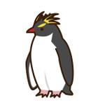 kow