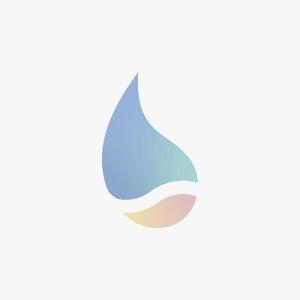 Web制作スタジオ 善水工房
