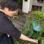 言葉とデザイン