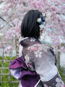 黒猫